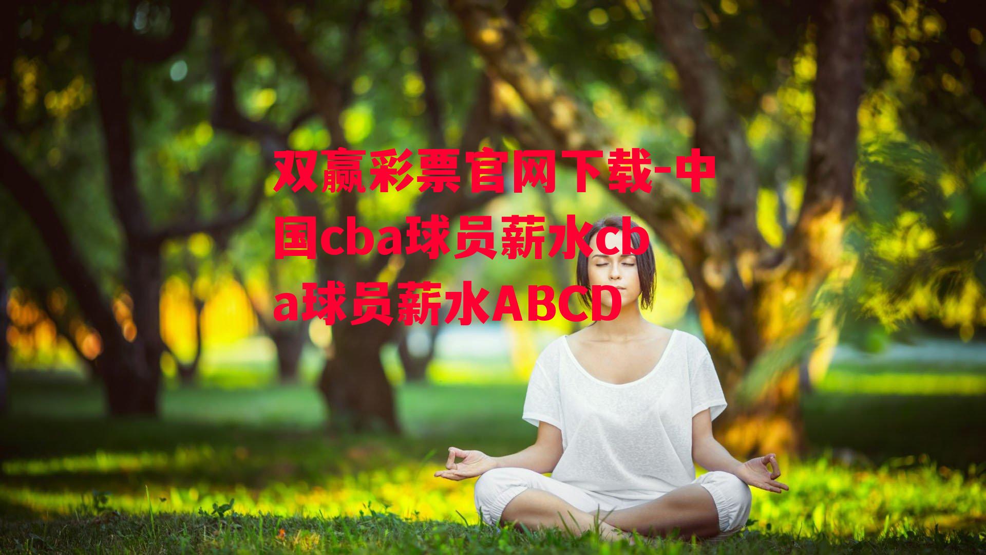 双赢彩票官网下载-中国cba球员薪水cba球员薪水ABCD